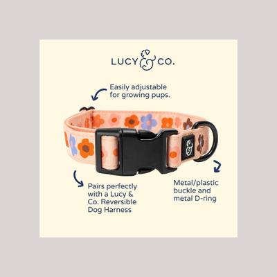 Lucy & Co. The Let's Groove Polyester Dog Collar, Coral