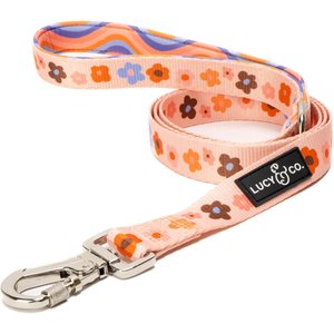 Lucy & Co. The Let's Groove Polyester Padded Handle Dog Leash, Coral, Large: 5-ft long, 1-in wide