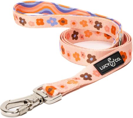 Show full view: Lucy & Co. The Let's Groove Polyester Padded Handle Dog Leash, Coral, Small: 5-ft long, 0.6-in wide slide 1 of 4