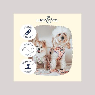 Show full view: Lucy & Co. The Let's Groove Polyester Padded Handle Dog Leash, Coral, Small: 5-ft long, 0.6-in wide slide 3 of 4