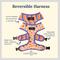 Show in main carousel: Lucy & Co. The Let's Groove Reversible Dog Harness, Coral, Large: 20 to 28-in chest slide 3 of 9