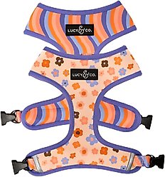 Lucy & Co. The Let's Groove Reversible Dog Harness, Coral, Medium: 17 to 23-in chest