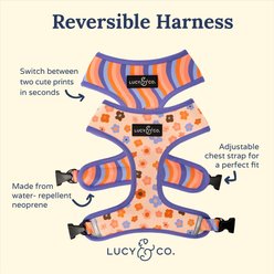 Lucy & Co. The Let's Groove Reversible Dog Harness, Coral, Medium: 17 to 23-in chest slide 2 of 6