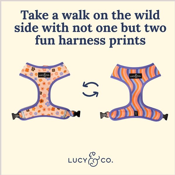 Lucy & Co. The Let's Groove Reversible Dog Harness, Coral