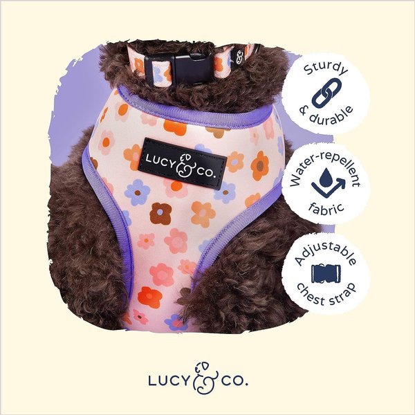 Lucy & Co. The Let's Groove Reversible Dog Harness, Coral