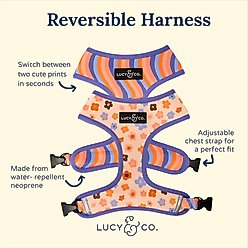 Lucy & Co. The Let's Groove Reversible Dog Harness, Coral, Small: 14 to 18-in chest slide 2 of 7