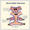 Show in main carousel: Lucy & Co. The Let's Groove Reversible Dog Harness, Coral, Small: 14 to 18-in chest slide 3 of 10
