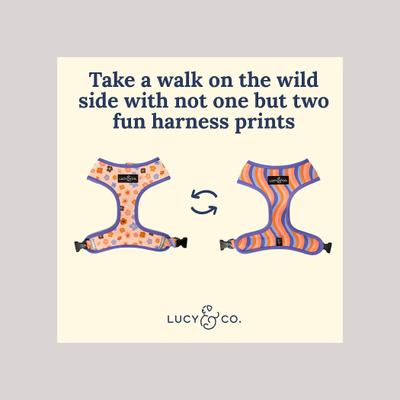 Show full view: Lucy & Co. The Let's Groove Reversible Dog Harness, Coral, Small: 14 to 18-in chest slide 4 of 10