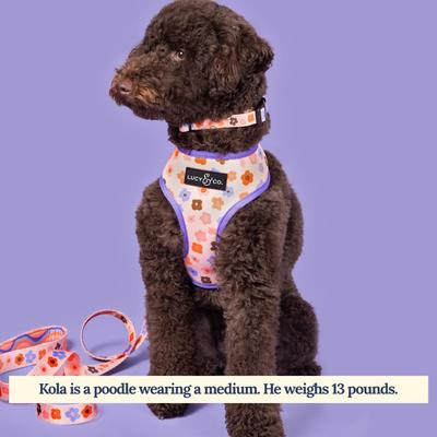 Show full view: Lucy & Co. The Let's Groove Reversible Dog Harness, Coral, Small: 14 to 18-in chest slide 6 of 10