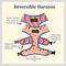 Show in main carousel: Lucy & Co. The Let's Groove Reversible Dog Harness, Coral, X-Large: 23 to 32-in chest slide 2 of 8