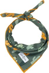 Lucy & Co. The Looking Sharp Dog Bandana, Green, Large