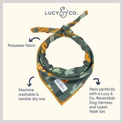 Show full view: Lucy & Co. The Looking Sharp Dog Bandana, Green, Large slide 2 of 5