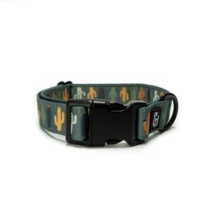 Lucy & Co. The Looking Sharp Polyester Dog Collar, Green, Medium: 13 to 20-in neck, 1-in wide