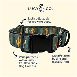 Lucy & Co. The Looking Sharp Polyester Dog Collar, Green, Medium: 13 to 20-in neck, 1-in wide slide 2 of 4