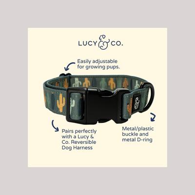 Show full view: Lucy & Co. The Looking Sharp Polyester Dog Collar, Green, Medium: 13 to 20-in neck, 1-in wide slide 2 of 5