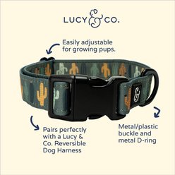 Lucy & Co. The Looking Sharp Polyester Dog Collar, Green, Small: 8 to 14-in neck, 1/2-in wide slide 2 of 4