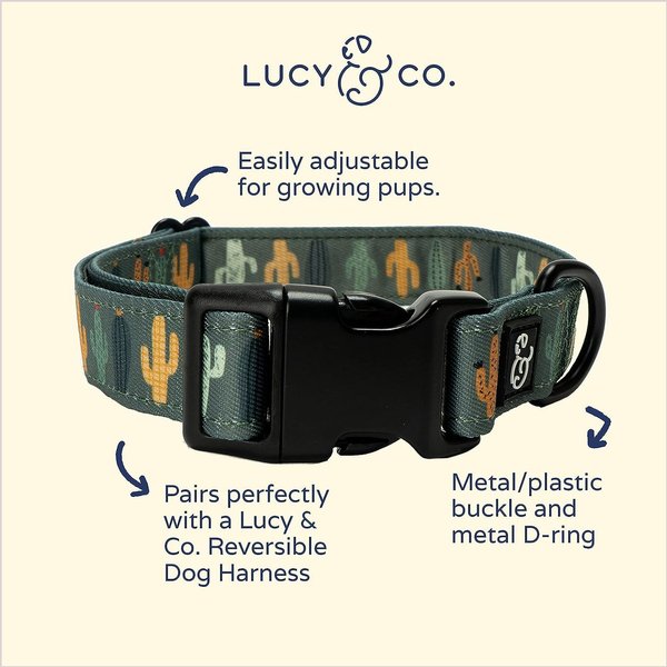 Lucy & Co. The Looking Sharp Polyester Dog Collar, Green