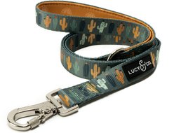 Lucy & Co. The Looking Sharp Polyester Padded Handle Dog Leash, Green, Large: 5-ft long, 1-in wide