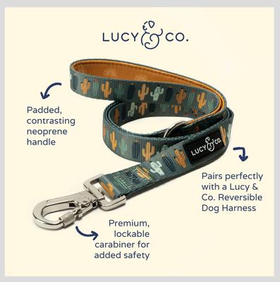 Show full view: Lucy & Co. The Looking Sharp Polyester Padded Handle Dog Leash, Green, Large: 5-ft long, 1-in wide slide 3 of 6