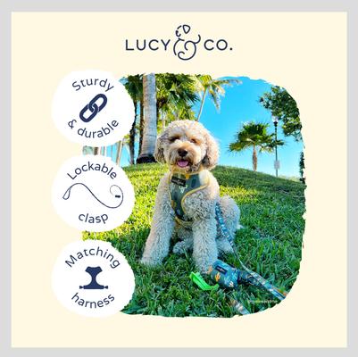 Show full view: Lucy & Co. The Looking Sharp Polyester Padded Handle Dog Leash, Green, Large: 5-ft long, 1-in wide slide 4 of 6