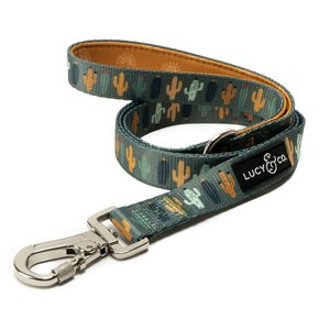 Lucy & Co. The Looking Sharp Polyester Padded Handle Dog Leash, Green, Small: 5-ft long, 0.6-in wide