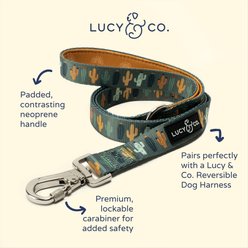 Lucy & Co. The Looking Sharp Polyester Padded Handle Dog Leash, Green, Small: 5-ft long, 0.6-in wide slide 2 of 4