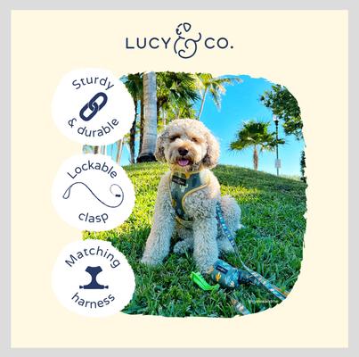 Show full view: Lucy & Co. The Looking Sharp Polyester Padded Handle Dog Leash, Green, Small: 5-ft long, 0.6-in wide slide 3 of 5