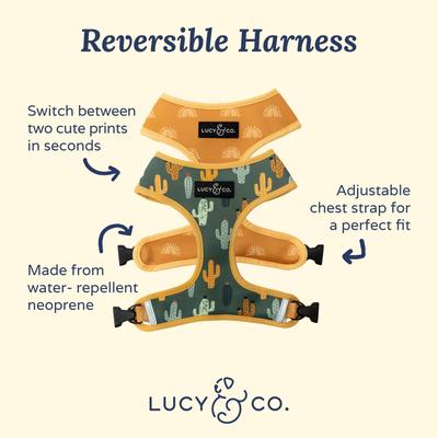 Show full view: Lucy & Co. The Looking Sharp Reversible Dog Harness, Green, Large: 20 to 28-in chest slide 2 of 9