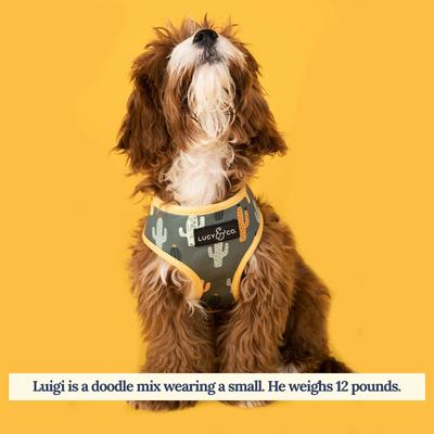 Show full view: Lucy & Co. The Looking Sharp Reversible Dog Harness, Green, Large: 20 to 28-in chest slide 5 of 9