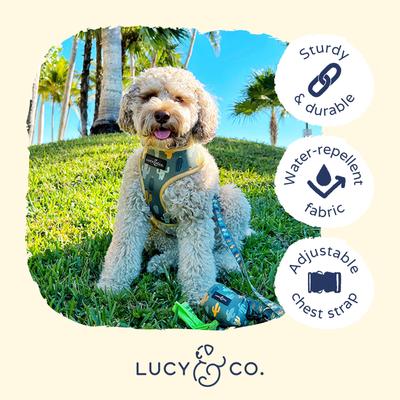 Show full view: Lucy & Co. The Looking Sharp Reversible Dog Harness, Green, Medium: 17 to 23-in chest slide 4 of 9