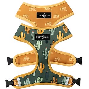 Lucy & Co. The Looking Sharp Reversible Dog Harness, Green, Small: 14 to 18-in chest