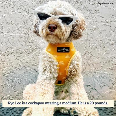 Show full view: Lucy & Co. The Looking Sharp Reversible Dog Harness, Green, X-Large: 23 to 32-in chest slide 7 of 9