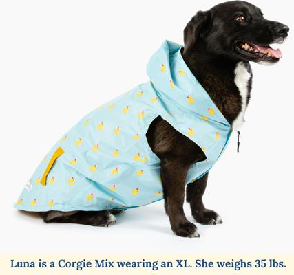 Show full view: Lucy & Co. The Lucky Ducky Reversible Waterproof Dog Raincoat, Blue/Yellow, Medium slide 2 of 9