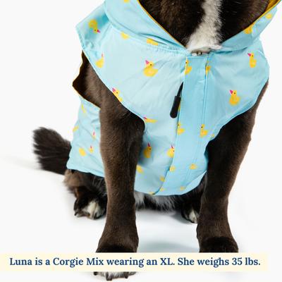 Lucy & Co. The Lucky Ducky Reversible Waterproof Dog Raincoat, Blue/Yellow