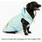 Show in main carousel: Lucy & Co. The Lucky Ducky Reversible Waterproof Dog Raincoat, Blue/Yellow, XX-Large slide 2 of 9