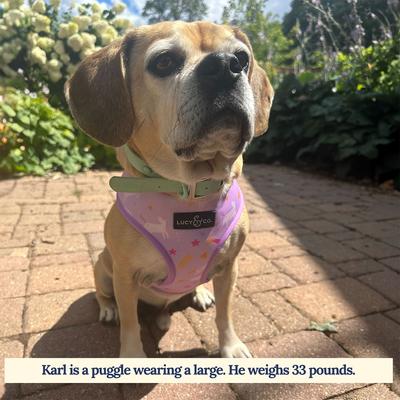 Show full view: Lucy & Co. The Making Magic Reversible Basic Dog Harness, Purple, Medium: 17 to 23-in chest slide 2 of 7