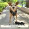 Show in main carousel: Lucy & Co. The Midnight No-Pull Dog Harness, Black, Small: 14 to 18-in chest slide 5 of 7
