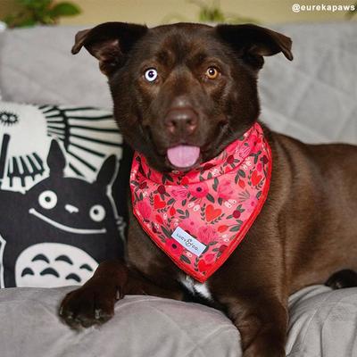 Show full view: Lucy & Co. The Posy Pink Dog Bandana, Pink, Large slide 2 of 6