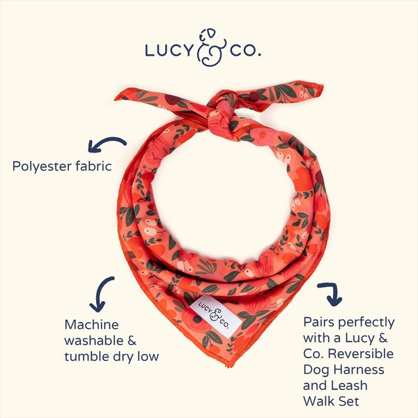 Lucy & Co. The Sophie Dog Bandana