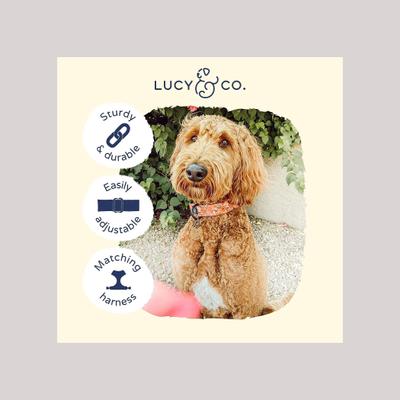 Show full view: Lucy & Co. The Posy Pink Polyester Dog Collar, Pink, Large: 16 to 26-in neck, 1.5-in wide slide 3 of 5