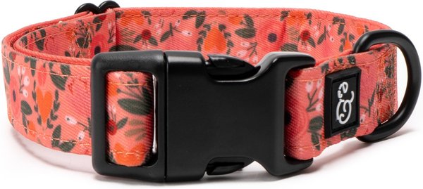 Lucy & Co. Cozy Cottage Dog Collar