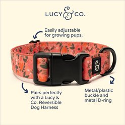 Lucy & Co. The Posy Pink Polyester Dog Collar, Pink, Medium: 13 to 20-in neck, 1-in wide slide 2 of 4