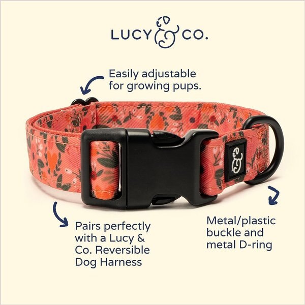 Lucy & Co. The Posy Pink Polyester Dog Collar, Pink