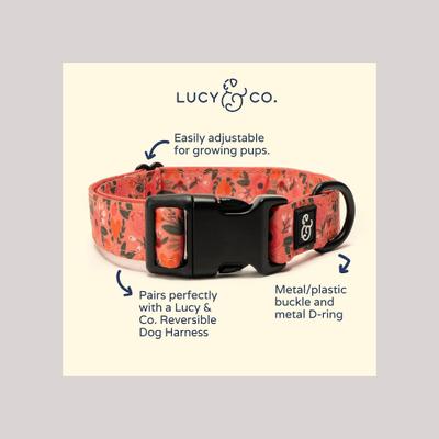Show full view: Lucy & Co. The Posy Pink Polyester Dog Collar, Pink, Small: 8 to 14-in neck, 1/2-in wide slide 3 of 6