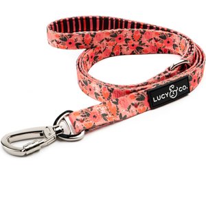 Lucy & Co. The Posy Pink Polyester Padded Handle Dog Leash, Pink, Large: 5-ft long, 1-in wide
