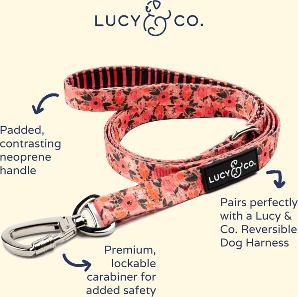 Lucy & Co. The Posy Pink Polyester Padded Handle Dog Leash, Pink, Large: 5-ft long, 1-in wide