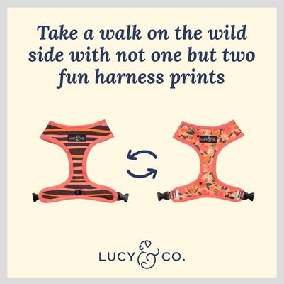 Show full view: Lucy & Co. The Posy Pink Reversible Dog Harness, Pink, X-Small: 12 to 15-in chest slide 3 of 8