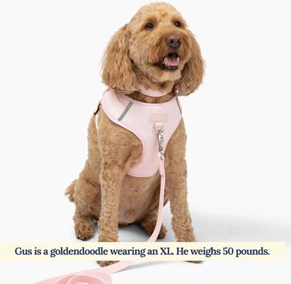 Show full view: Lucy & Co. The Rosewater No-Pull Dog Harness, Pink, Small: 14 to 18-in chest slide 3 of 7