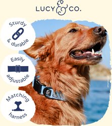 Lucy & Co. The Set Sail Dog Collar, Blue, Small: 8 to 14-in neck slide 2 of 3