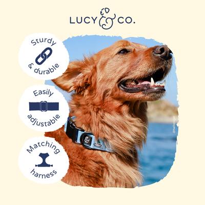 Show full view: Lucy & Co. The Set Sail Dog Collar, Blue, Small: 8 to 14-in neck slide 3 of 3